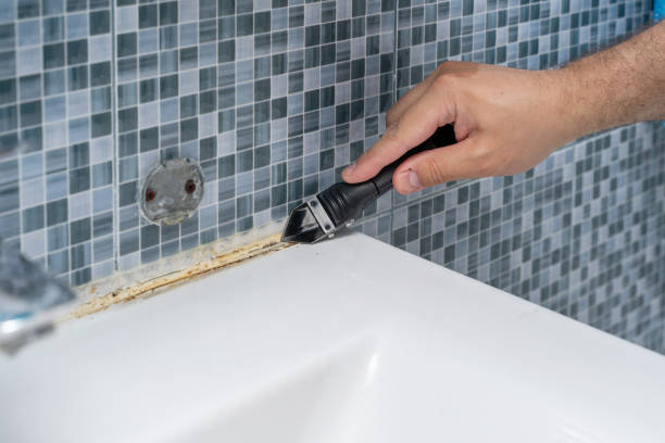 Best Professional Mold Removal  in Clarkton, MO